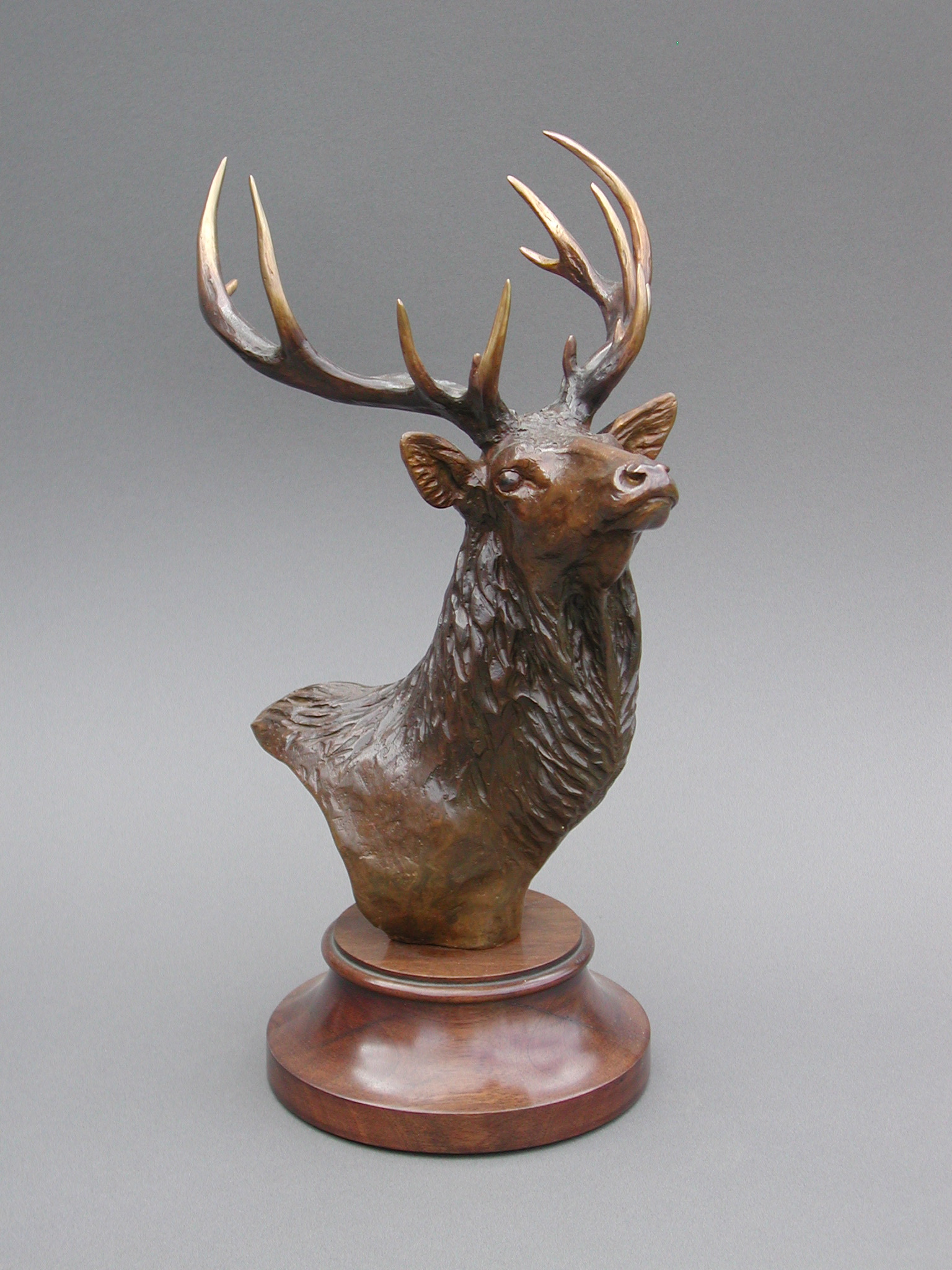 Les Cerfs et Biches ‹ Artiste Sculpteur Animalier Dany CONTINSOUZAS