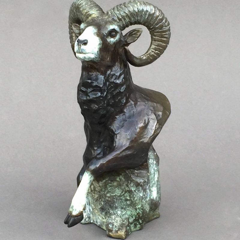 Buste de mouflon