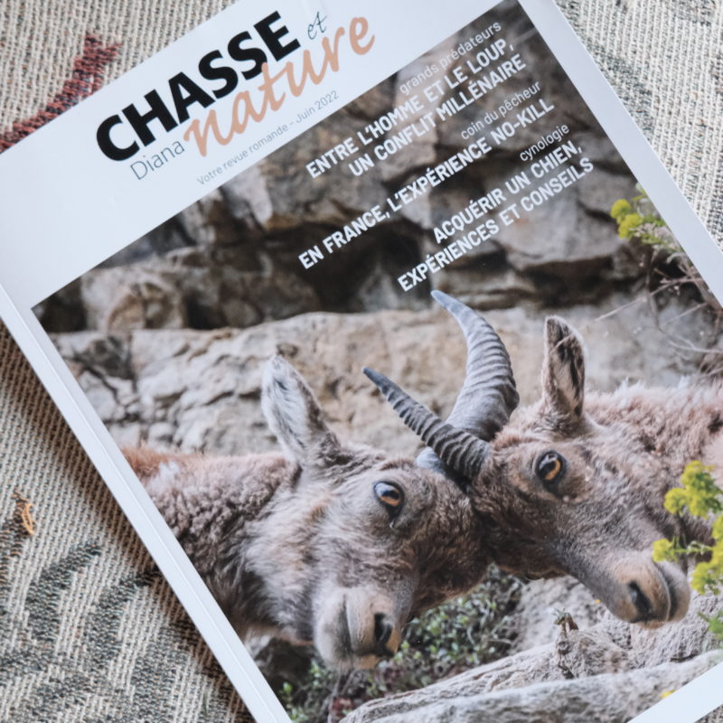 revue helvétique « Chasse et nature »