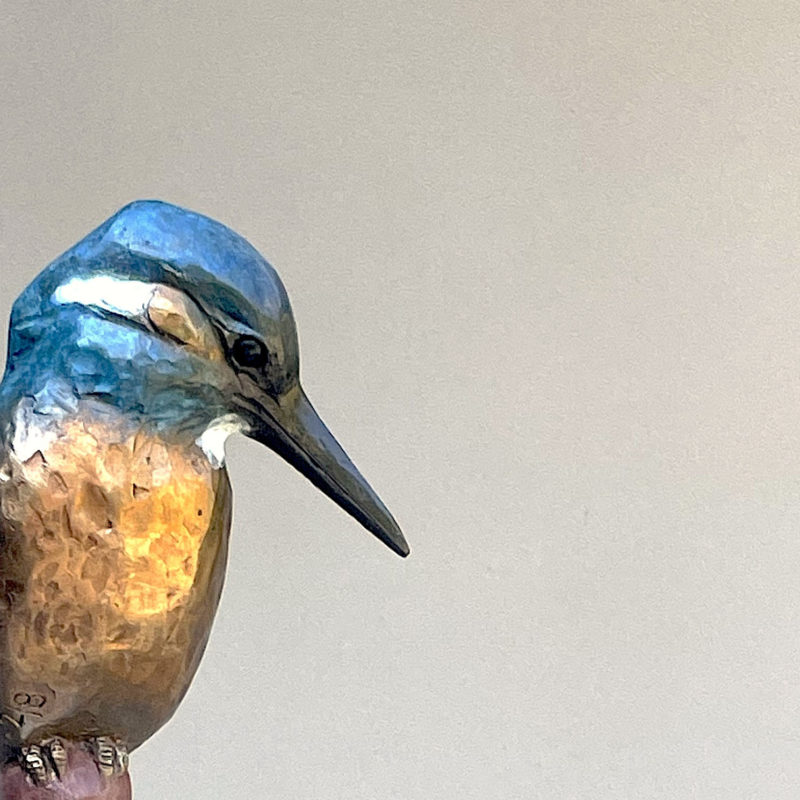 Martin pêcheur « Pêche au vif » Martin pêcheur « Pêche au vif »