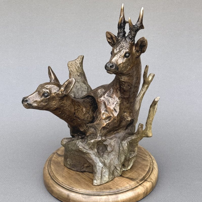 chevreuils »Capreolus »