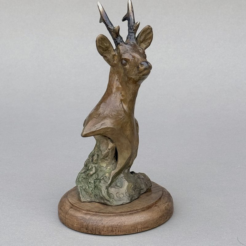 brocard « Petit Broc »