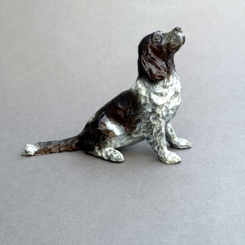 chien springer chien springer