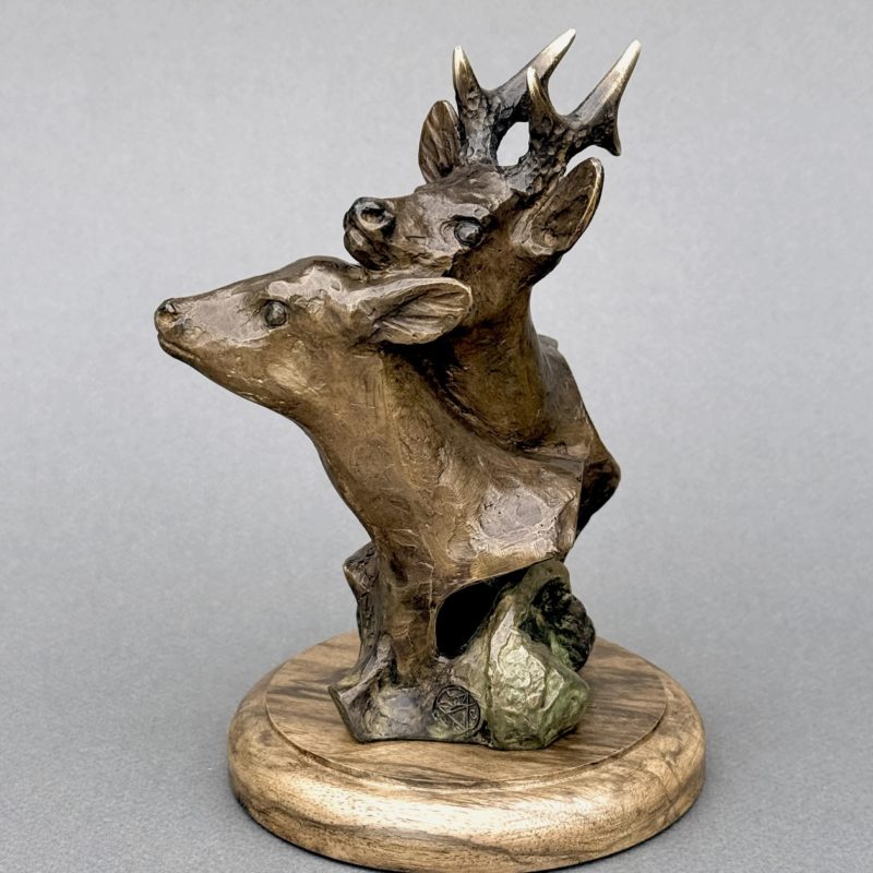 Chevreuils « Désir »